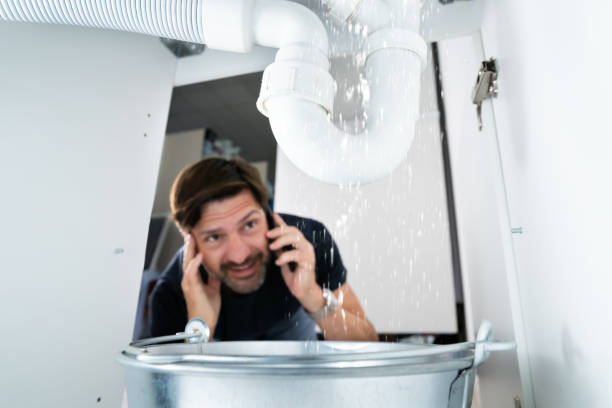 Best Leak Detection Services  in Springfield, IL