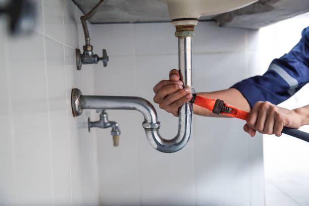 Best Plumbing Inspection Services  in Springfield, IL